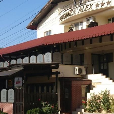 טולצ'אה Vila Alex&Razvan מראה חיצוני תמונה